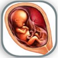 Pregnancy Week by Week APK