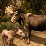 Ultimate Moose Simulator APK