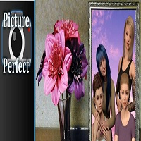 Picture Perfect APK