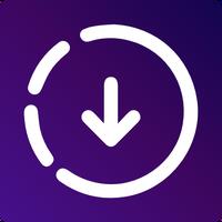 Video Downloader: Story Saver*icon