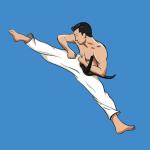 Mastering Taekwondo at Home icon