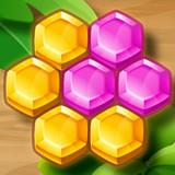 Hexa Master:Block Puzzle APK