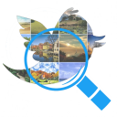 Photo & Video Tweet Explorer APK