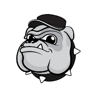 Bulldog VPN - Unlimited VPN icon