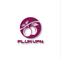 Plum VPN - Safest Interneticon