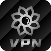 sunflowervpn icon