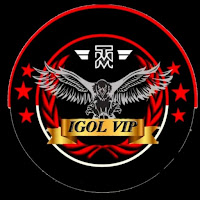 IGOL VIP - VPN icon