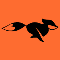 FastFox VPN icon