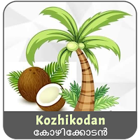 Kozhikodan VPN icon