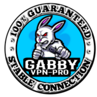 GABBY VPN-PRO PANELicon