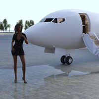 My New Life as a Stewardess APK