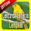 Canto de Canario Campeão Offline APK