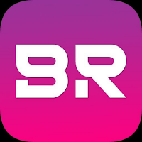 BR NET VPN icon