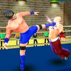 World Pro Wrestling Champions APK