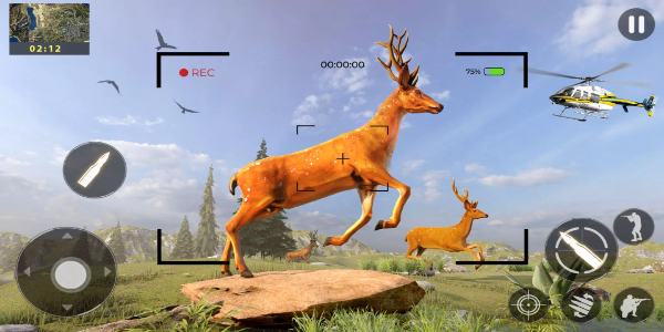 Wild Deer Animal Hunting Games