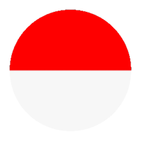 Indonesia VPN Proxy - Safe VPN icon