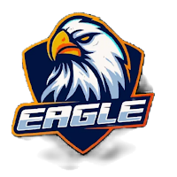 EAGLE VPN - Fast And Stable icon