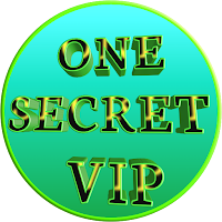 ONE SECRET VPN icon