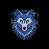 WOLF VIP VPN icon