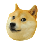 Doge 2048 icon