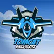 Tomcat Skill Slotzicon