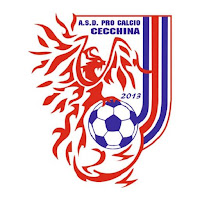 A.S.D. Procalcio Cecchina icon