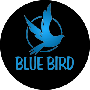 BLUE BIRD PRO - Secure VPN APK