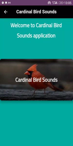 Cardinal sounds and calls