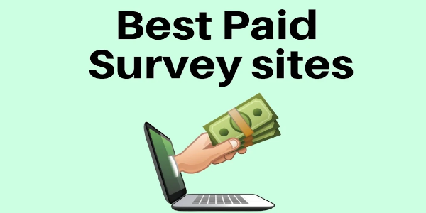 CashVib Surveys