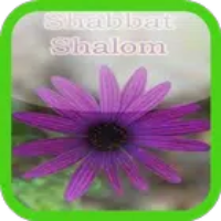 Shabbat shalom images and quotes APK