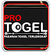 Pro Togel icon