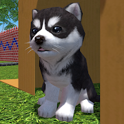 Cute Pocket Puppy 3D - Part 2 Mod icon