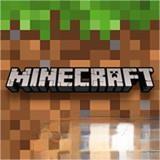 Minecraft icon