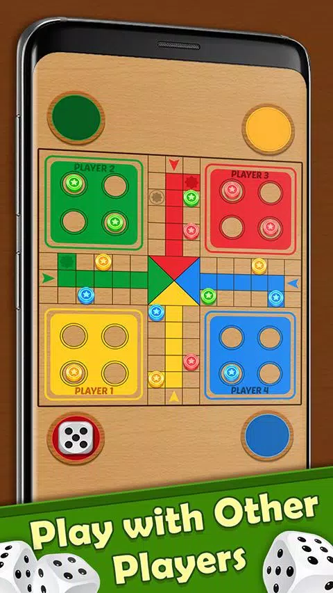 Ludo Chakka Classic Board Game