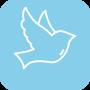 Small Wings VPN icon