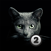 Find a cat 2 Mod icon