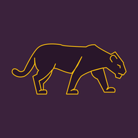 Panther VPN. Fast & Secure WiFi Protection APK