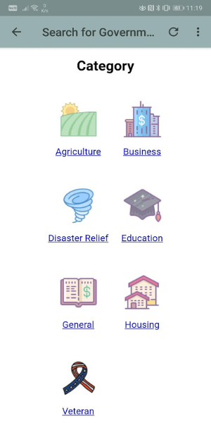 US Grants and Loans