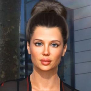 Perfect Housewife APK