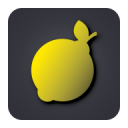 Lemon VPN - Unlimited Free VPN & Secure VPN icon