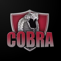 COBRA PRIVATE VPN icon