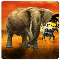 Safari Tour Slot APK