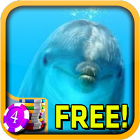 3D Dolphin Slots - Free icon