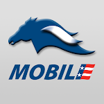 First American Bank NM Mobile icon