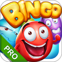 Bingo - Pro Bingo Crush™ icon