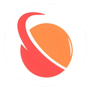 RAYCO OVPN V4 APK