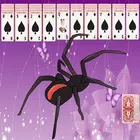 Spider Solitaire X icon