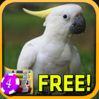 3D Cockatoo Slots - Freeicon