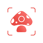 Picture Mushroomicon