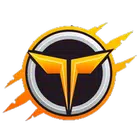 Teamwork VPN V2Ray icon